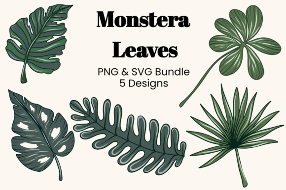 Tropical Monstera &amp; Leaf Bundle